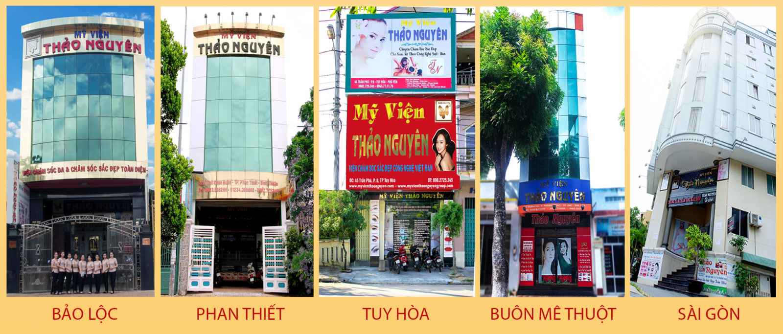 Mỹ ViệnThảo Nguyên Group